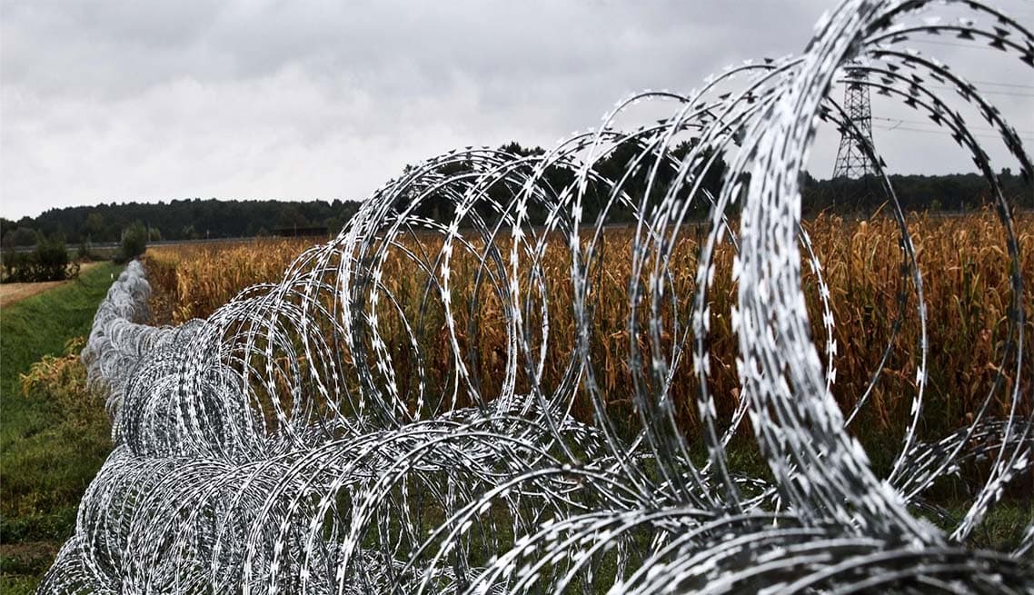 Concertina Wire - Image 2